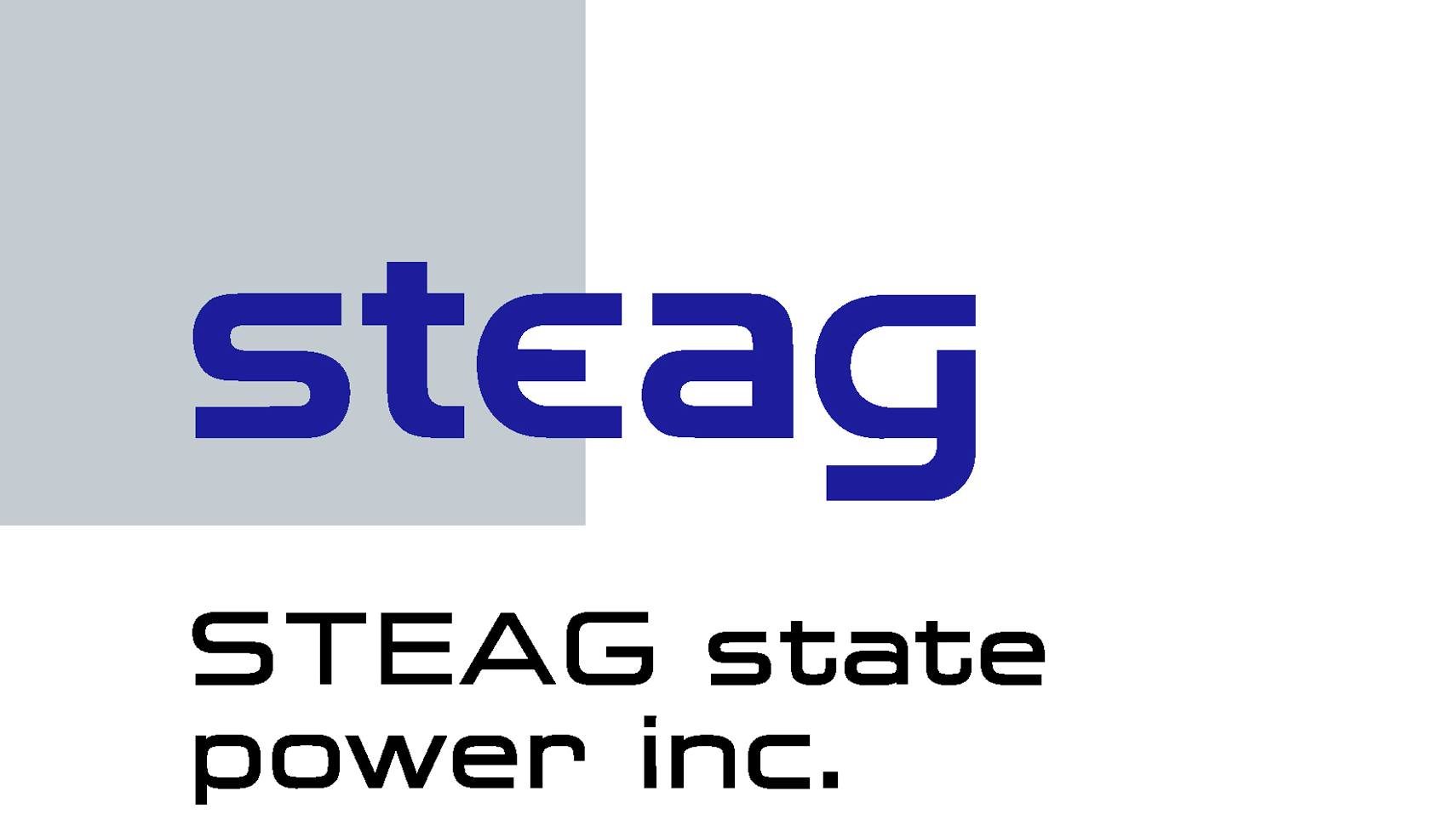 STEAG STATE POWER INC