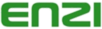 Enzi logo